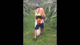 Download Lagu Vidio hot goyang naga MP3