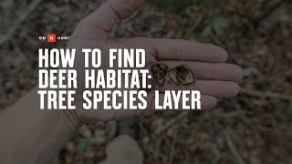 How To Find Deer Habitat- Tree Species Layer screenshot 5