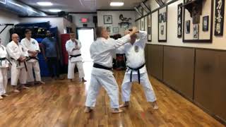Michael Calandra Isshin-Ryu Karate Seminar NY 03/2023