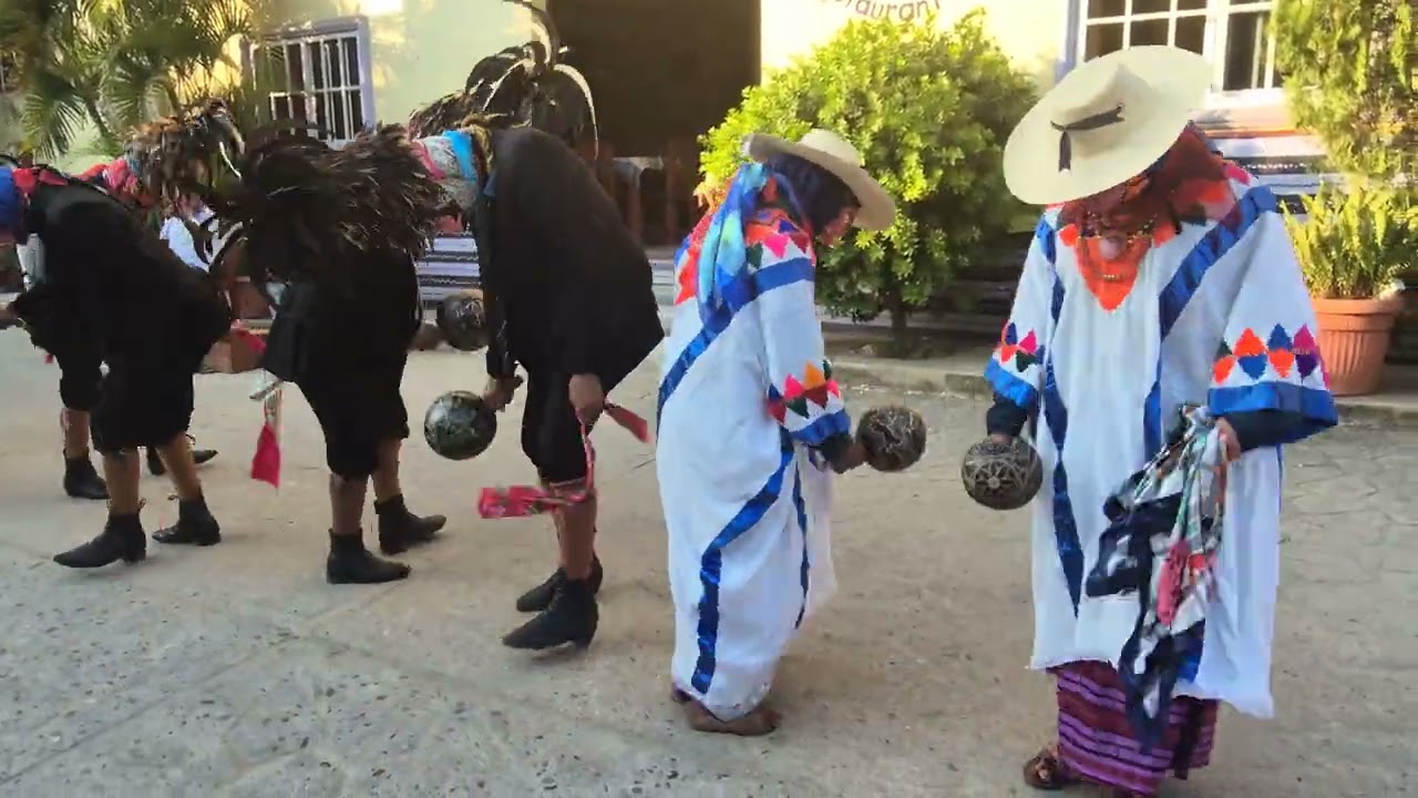 Tejorones de Pinotepa de Don Luis 12/02/2026 PT 2