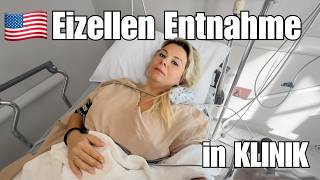 Eizellen-Entnahme Op Wie Gehts Jetzt Weiter? Kinderwunsch Tagebuch