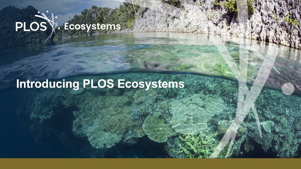 Introducing PLOS Ecosystems. Help shape the future of ecosystems research