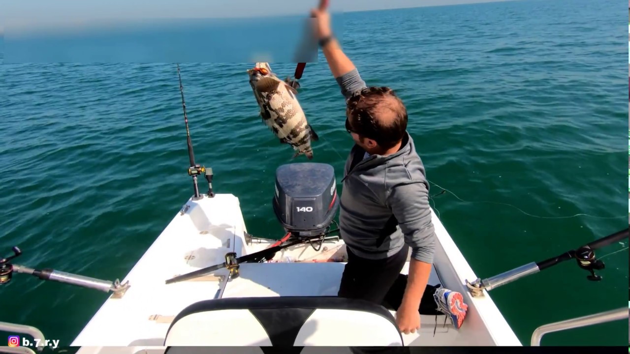 - لفاح فهد الكندري - تشخيط هامور Gruoper Giant