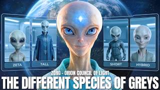 DISCLOSURE‼️ "These Are The Ones You Need To Stay Away From..." | ZØRG - Orion Council Of Light