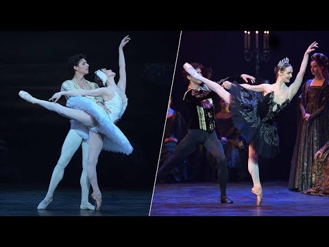 Swan Lake: the dual role of Odette and Odile | English National Ballet