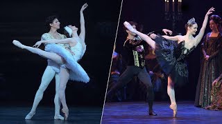 Swan Lake The Dual Role Of Odette And Odile English National Ballet
