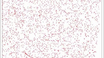 Lid-driven Cavity Problem