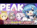 【 #peak 】乾杯しながら!?俺たちのチームワークだったら余裕だろ‼【ゆるりめぐ/vtuber】