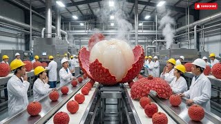 How Canned Lychees Are Actually Made — Full Factory Process