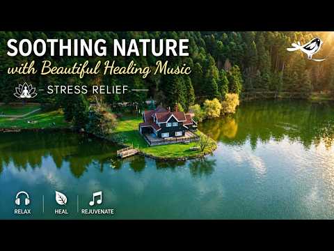 Bezgranična Tišina - 4K Priroda ☘️ Sa Tihom Glazbom 🎹 | Meditacija i Opuštanje Protiv Stresa 🙏🌿🌸