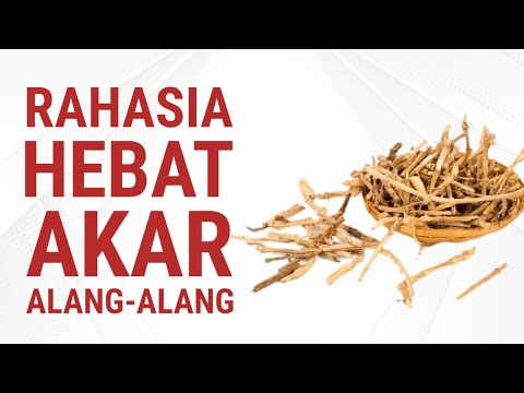 Manfaat Wedang Jahe Alang Alang