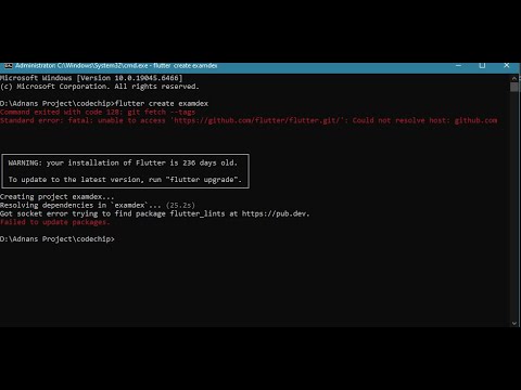 unable to access 'https://github.com/flutter/flutter.git/': Could not resolve host: github.com