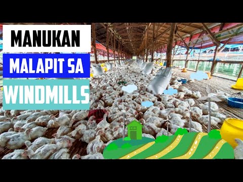 Video: BBQ Para Sa Mga Cottage Ng Tag-init (80 Mga Larawan): Lugar Ng Grill Sa Isang Bahay Ng Bansa, Mga Nakahandang Proyekto Para Sa Pagpapatupad Gamit Ang Iyong Sariling Mga Kamay, Mga 