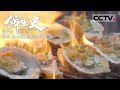 《鲜生史》第7集 永不孤独的美食家！被流放海南的苏轼又发现了一种美食：烤生蚝 Gourmets Alive【CCTV纪录】