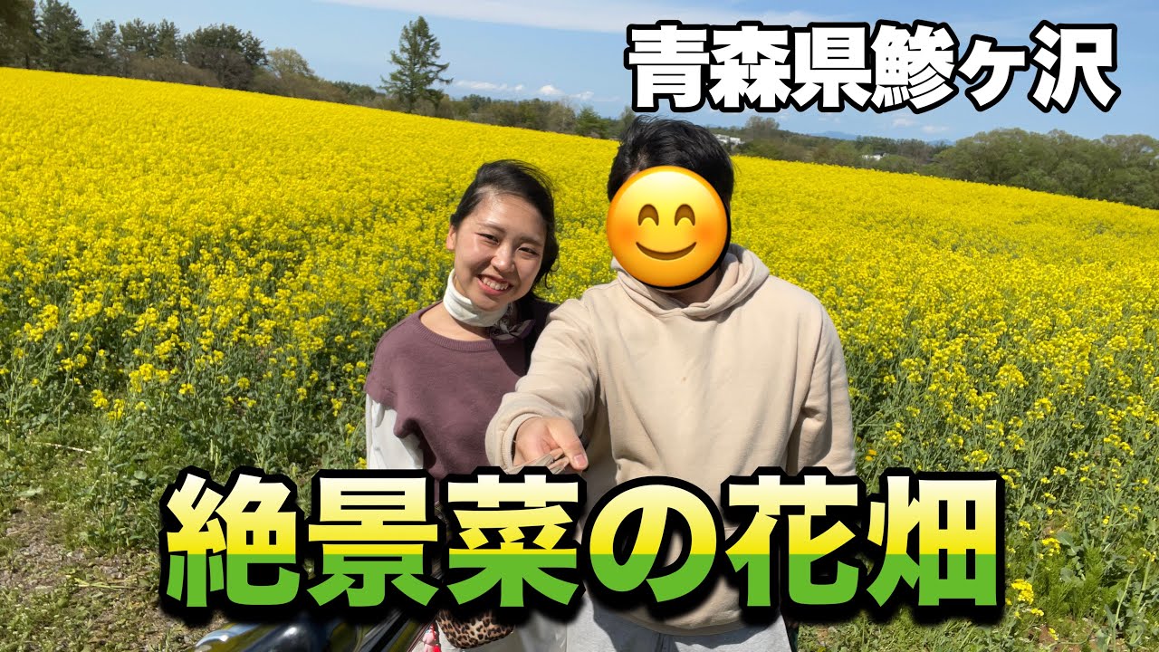 青森県鯵ヶ沢町 素敵すぎたぞ 鯵ヶ沢の菜の花畑を堪能 フォトスポット Youtube