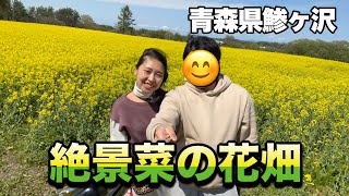 青森県鯵ヶ沢町 素敵すぎたぞ 鯵ヶ沢の菜の花畑を堪能 フォトスポット Youtube
