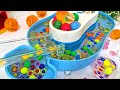Water Marble Run Race! Transparent Water Tank + Transparent Slider + Kumikumi Slope + HABA Long ver