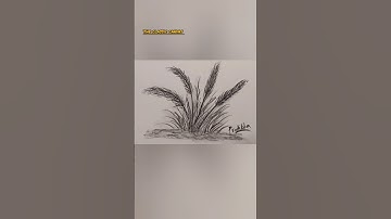 charcoal drawing | Asmr | satisfying | relaxing | drawing | art