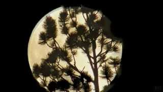 Gregory Alan Isakov - That Moon Song chords