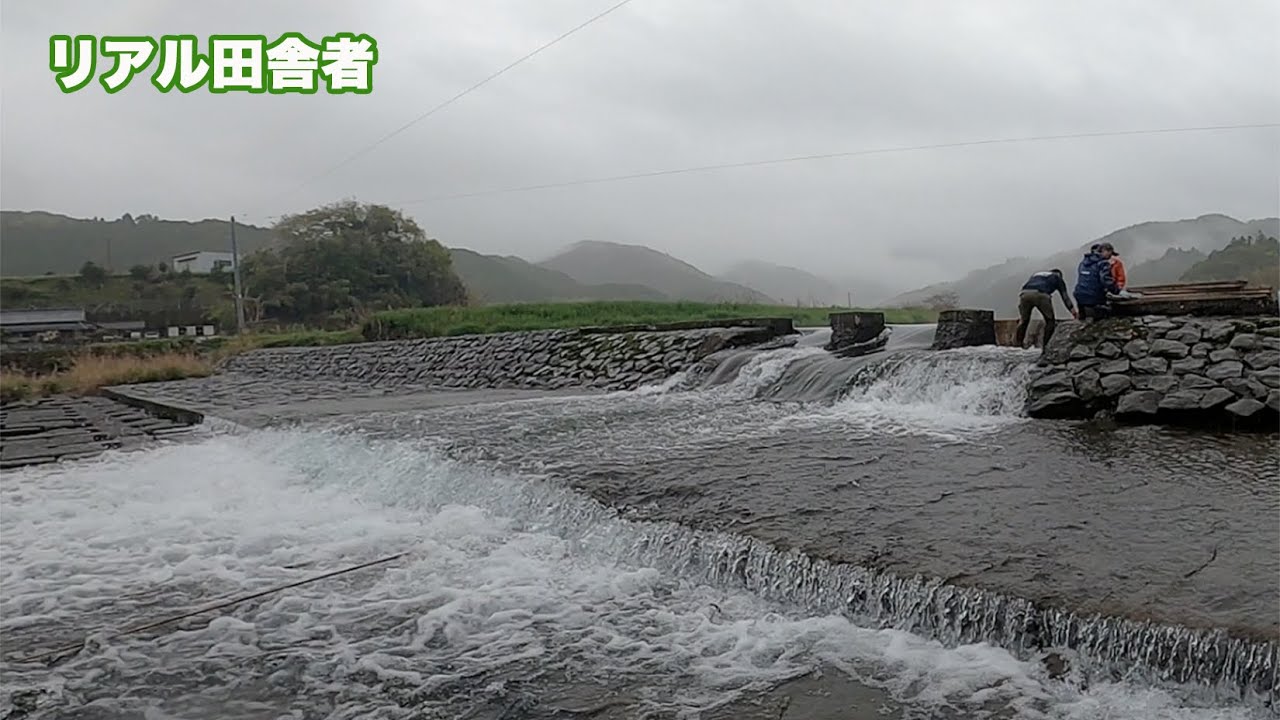 川をせき止め田んぼに水を! - YouTube