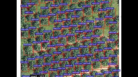 Palm Oil Tree Detection and Counting
