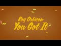 Roy Orbison You Got It Official Audio mp3