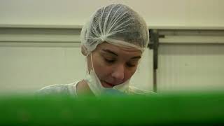 Aftermath Official Trailer Ashley Greene Shawn Ashmore Jason Liles Peter Winther