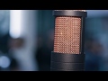 Antelope Audio - Edge & Verge modelling mics - AES 2017