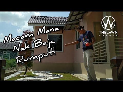 Video: Membahagi Rumput Hiasan – Bagaimana dan Bila Membahagi Rumput Hiasan