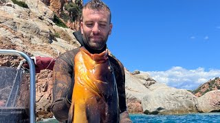 Pesca Subacquea Ad Arbatax La Cernia Che Sembrava Persa