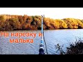 Рыбалка на Судака на донки.