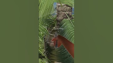 What Other Kind Of Rock ?! 🪨 PART 2 Stranded deep DROPING SOON #gaming #fishing #games #gameplay