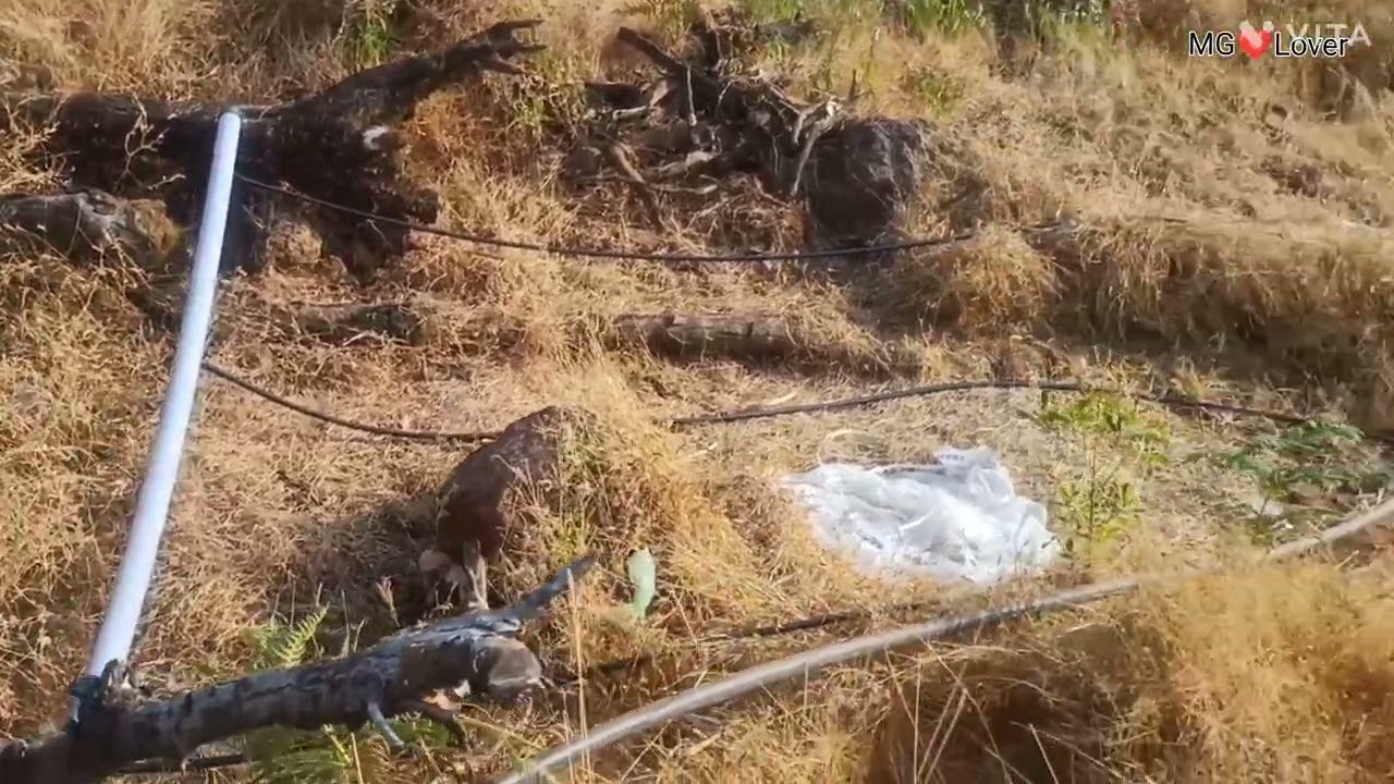 New work thibak plumbing work 🔨🪛🚰🚿🛁