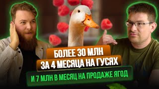видео: Миллионы на ягодах и гусях. Подкаст Ивана Халилова с Антоном Щетниковым картинка: Миллионы на ягодах и гусях. Подкаст Ивана Халилова с Антоном Щетниковым