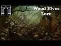 Possible Total War:Warhammer Factions The Wood Elves