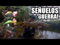 Pesca de Río | EXCELENTES señuelos para las grandes.