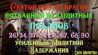 ☦ Святой щит от врагов из защитных псалмов усиленный Молитвой Задержания #православие #псалмы