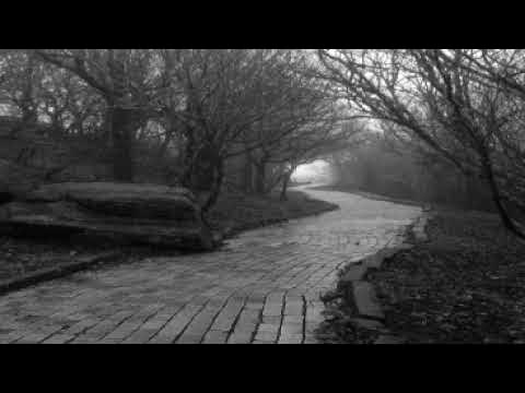П.Д.Успенский "В поисках чудесного" глава 15 из 18 - YouTube