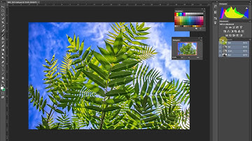 Organizing the Workspace in Photoshop