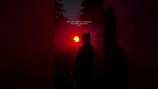Light Cycles | Fever