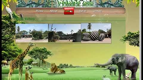 09  HTML and CSS Animated Project in Urdu  - HTML and CSS Animation Project