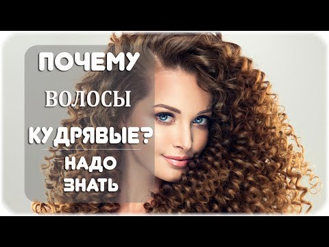 Почему у некоторых людей волосы кудрявые?