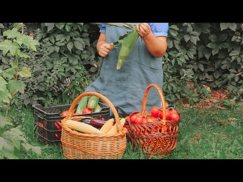 Video: Skladovanie zeleniny. Výstavba v prímestskej oblasti