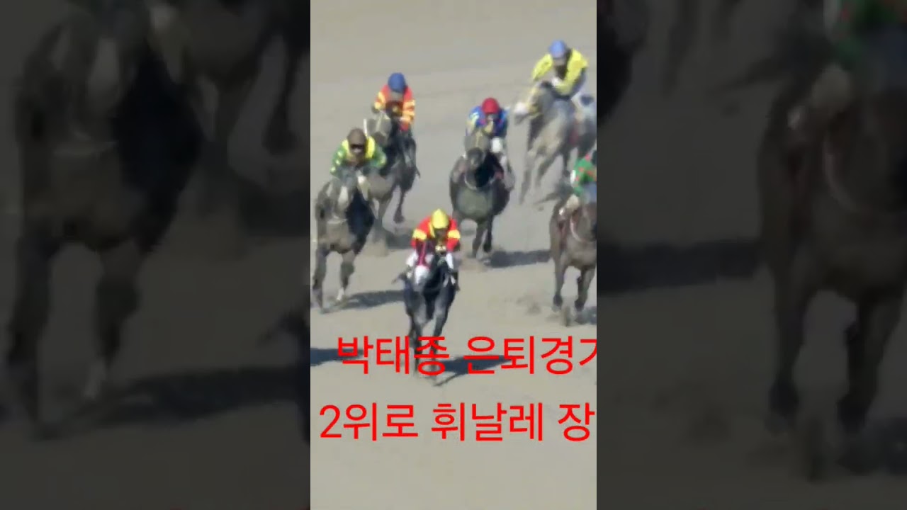 박태종 은퇴경기 2위로 휘날레 장식
