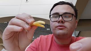 Chill Will Eats Jc Wings Superstition Springs Mall Fries