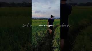 Download Lagu Taman Alam Jiwa #nature #rhomairama #reggae #alam MP3