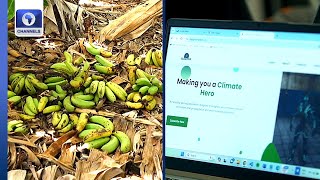 How To Gamify Environmental Awareness, Cutting Banana Waste In Zimbabwe + More | Eco Africa