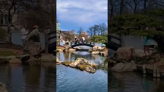 Chicago Hidden Gem Profile