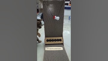 🐱Cat scratching board source factory #cat #catcare #catbehavior #funnyanimals #funnycats
