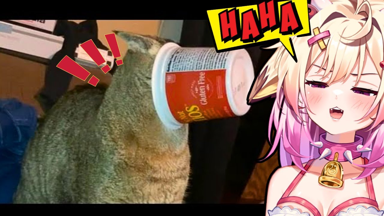 Смешной кот терпит неудачу | rosiebellmoo реагирует на FailArmy